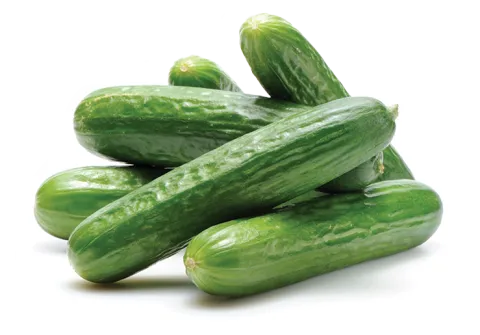 pile of cucumbers