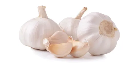 garlic bulbs