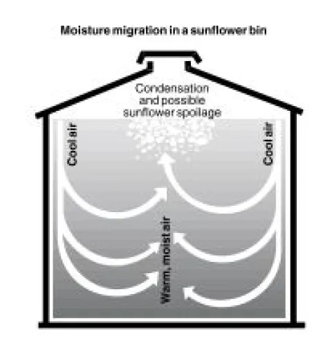 Figure 130