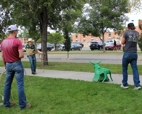 Roping Outside of Shepherd