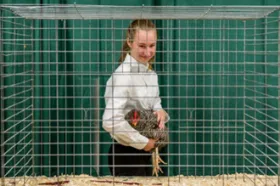 Handling a Bird