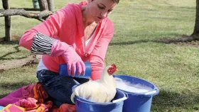 Give your Bird a Bath