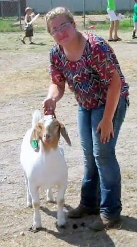 Presenting to the judge in goat showmanship.