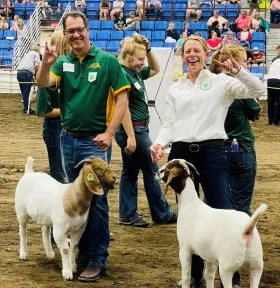 NDSU leaders show sheep