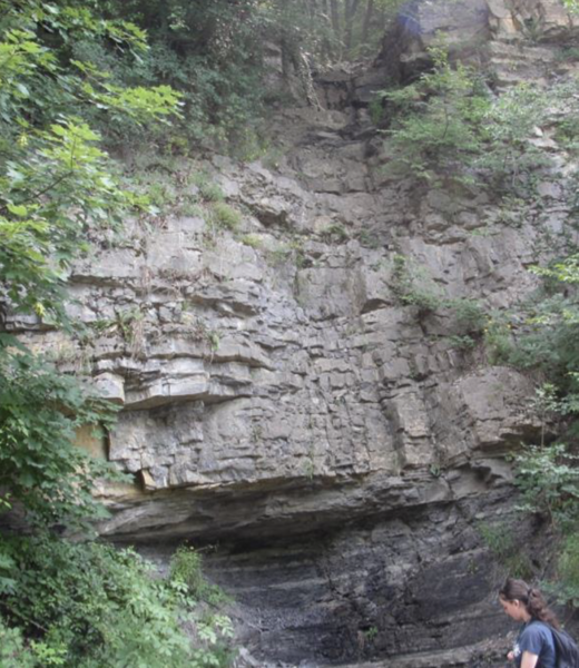 A young female field assistant is standing next to a talk rocky outcropping of alternating shales and carbonates, from the Lombardian Basin, Italy
