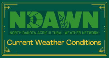 NDAWN Current Conditions