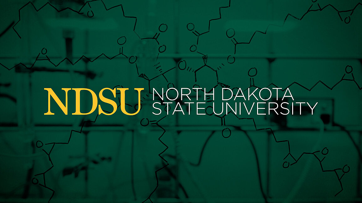 NDSU Zoom background 4