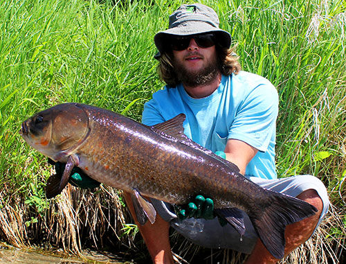 ndsu fish buffalo lives research north proven bigmouth completed recently native america edu