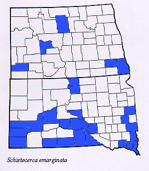 ND/SD Map