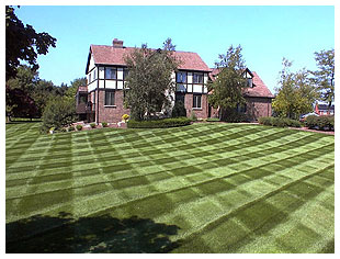 A Striped Lawn