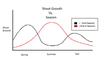 shoot growth compared to season