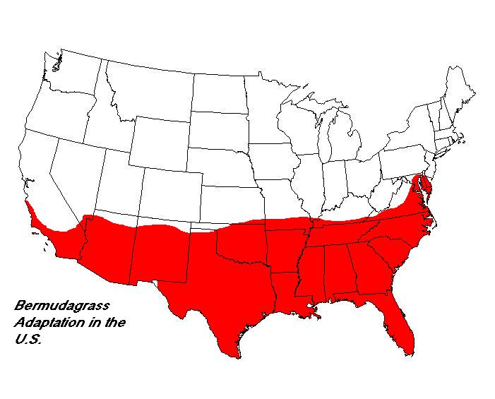 Bermudagrass Map