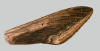 Forewing of Sphinx drupiferarum showing whitish area.