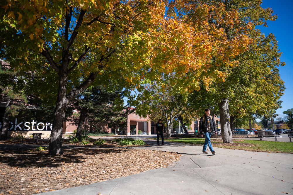 Experience NDSU North Dakota State University