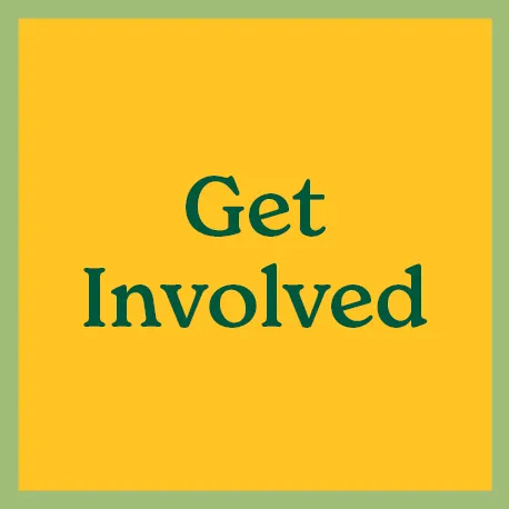Get Involved
