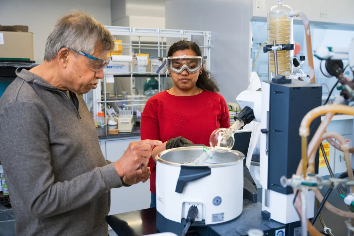 NDSU professor Mukund Sibi works with a Chemistry student