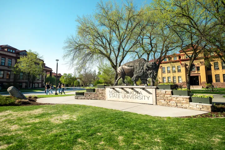 Bison statue on the NDSU campus