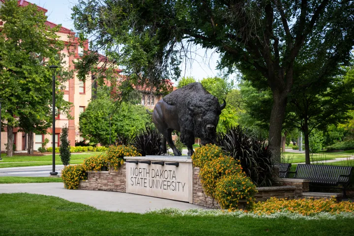 Bison Statue