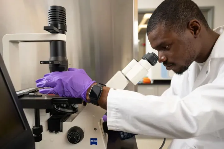 A researcher in a lab looks through a microscope.