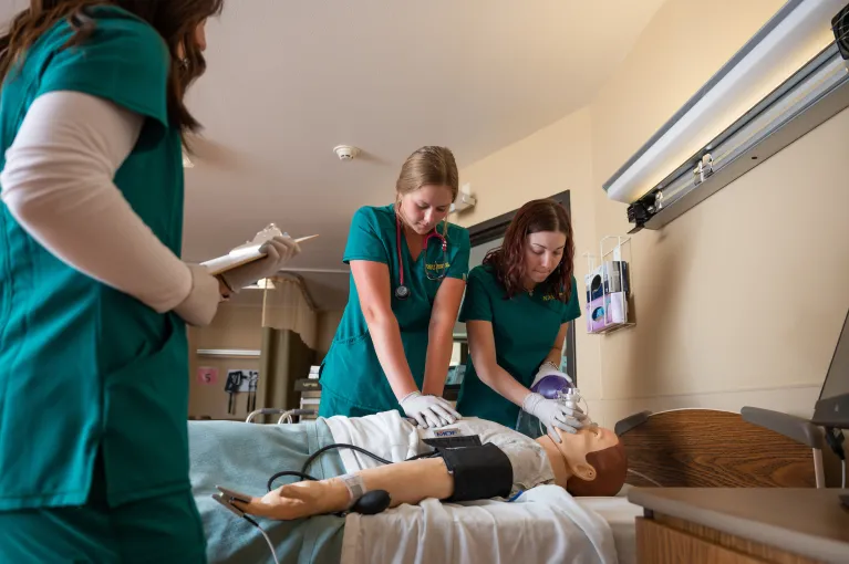 image of students in simulation