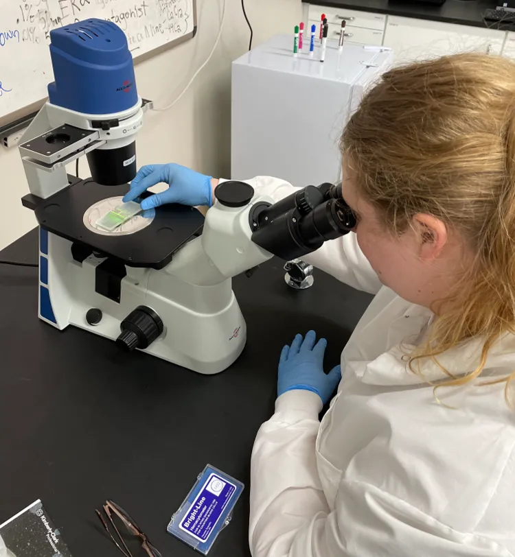Image of a student looking in microscope